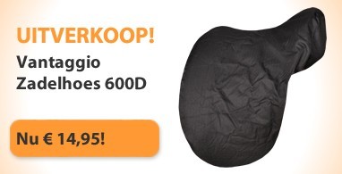 Ooteman Paardensport