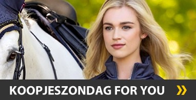 Ooteman Paardensport