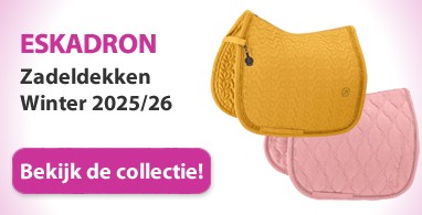 Ooteman Paardensport