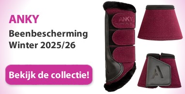 Ooteman Paardensport