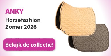 Ooteman Paardensport