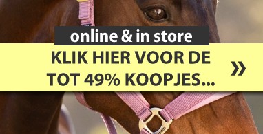 Ooteman Paardensport