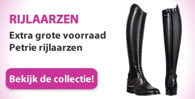 Ooteman Paardensport