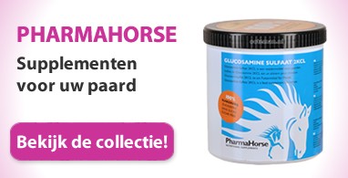 Ooteman Paardensport