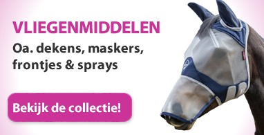 Ooteman Paardensport