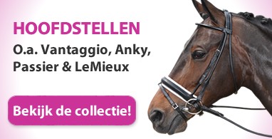 Ooteman Paardensport