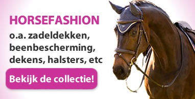 Ooteman Paardensport