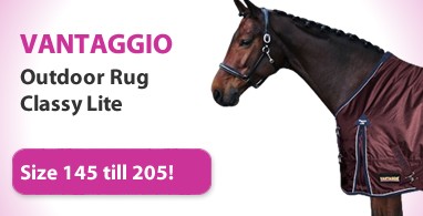 Ooteman Paardensport