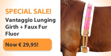 Ooteman Paardensport