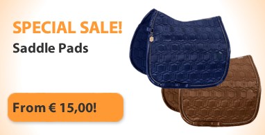 Ooteman Paardensport