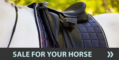 Ooteman Paardensport