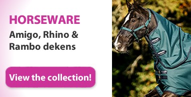 Ooteman Paardensport