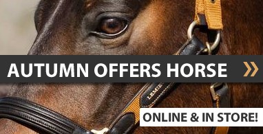 Ooteman Paardensport