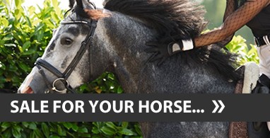 Ooteman Paardensport