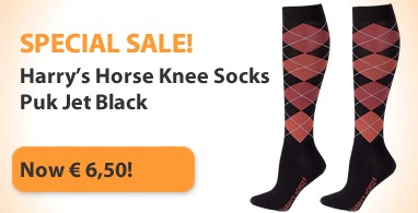 Ooteman Paardensport