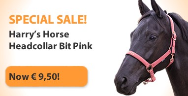 Ooteman Paardensport