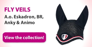 Ooteman Paardensport