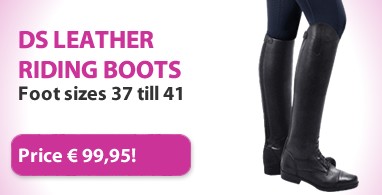 Ooteman Paardensport