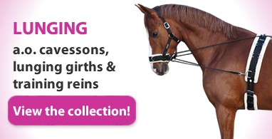 Ooteman Paardensport