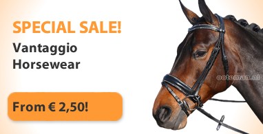 Ooteman Paardensport