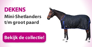 Ooteman Paardensport