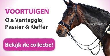 Ooteman Paardensport