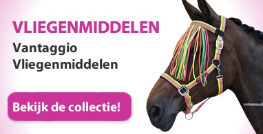 Ooteman Paardensport