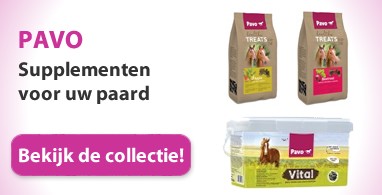 Ooteman Paardensport