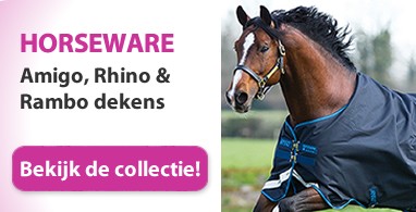 Ooteman Paardensport