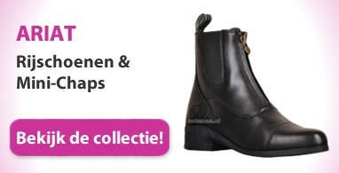 Ooteman Paardensport