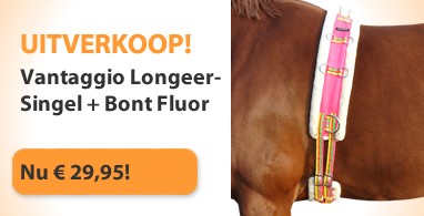 Ooteman Paardensport
