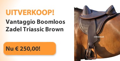 Ooteman Paardensport