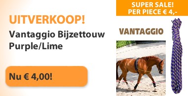 Ooteman Paardensport