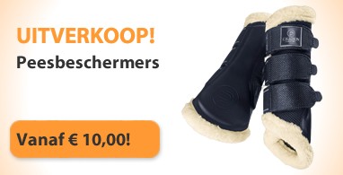 Ooteman Paardensport