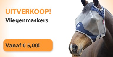 Ooteman Paardensport