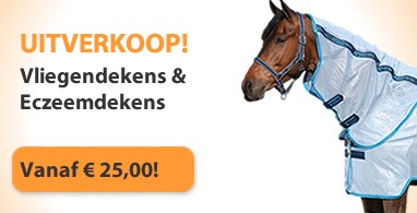 Ooteman Paardensport