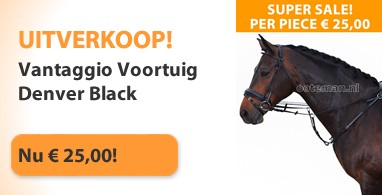 Ooteman Paardensport