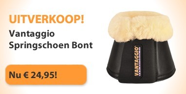 Ooteman Paardensport