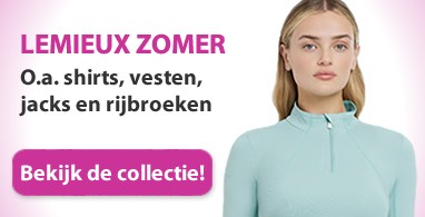 Ooteman Paardensport