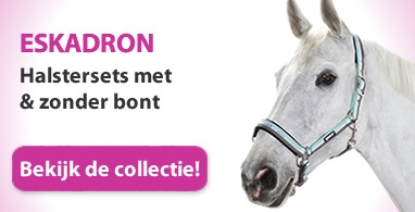 Ooteman Paardensport