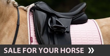 Ooteman Paardensport
