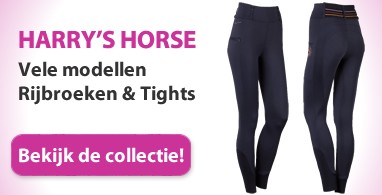 Ooteman Paardensport