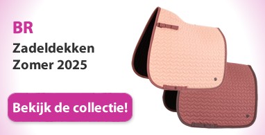 Ooteman Paardensport