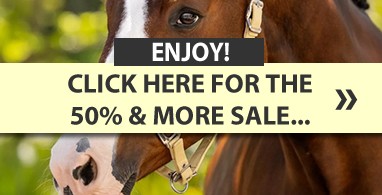 Ooteman Paardensport