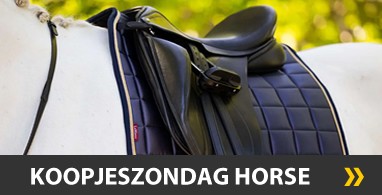 Ooteman Paardensport