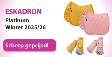 Ooteman Paardensport
