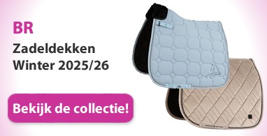 Ooteman Paardensport