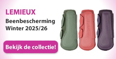 Ooteman Paardensport