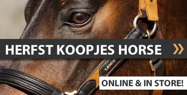 Ooteman Paardensport
