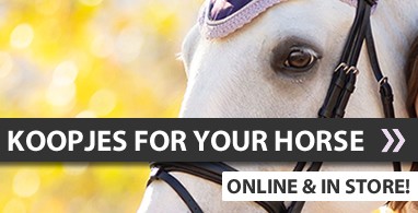 Ooteman Paardensport